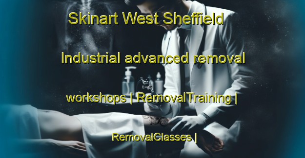 Skinart West Sheffield Industrial advanced removal workshops | RemovalTraining | RemovalClasses | SkinartTraining-Canada